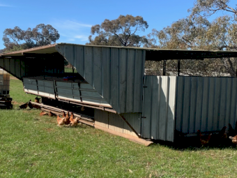 Chook Sheds x 6
