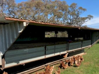 Chook Sheds x 6
