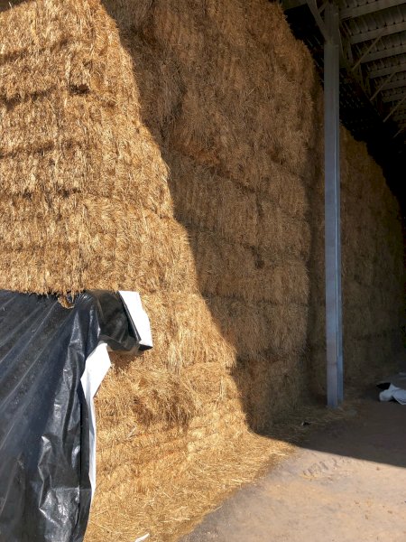 160mt Oaten Hay 620kg 8x4x3 Bales
