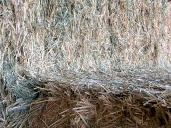 160mt Oaten Hay 620kg 8x4x3 Bales