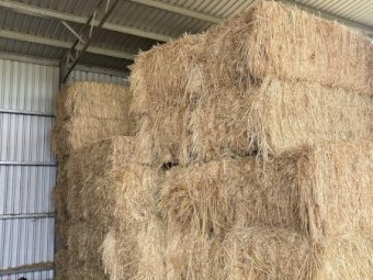 24 Season Oaten Hay