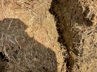 Vetch Hay 8x4x3 Bales