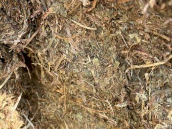 Vetch Hay 8x4x3 Bales