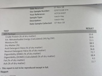 Vetch Hay 8x4x3 Bales