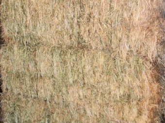 80mt Oaten Hay 600-670kg 8x4x3 Bales