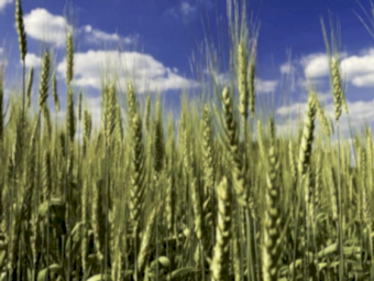 SOA - 91 tonne Ex Geelong