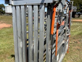 RPM Allrounder Cattle Crush