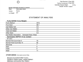 40MT Rasina Vetch Seed