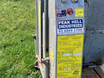 2022 Peak Hill Sheep Handler Complete With Lead Up Race