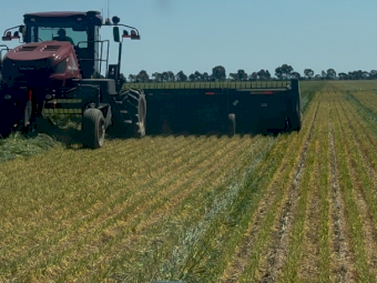 EOI 700-800mt Barley Hay 8x4x3 Bales