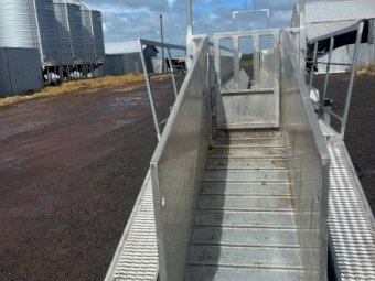 RiverCity Bulk Sheep Handler