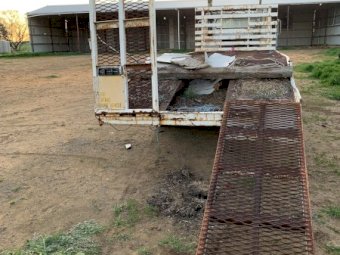 International Acco 1830B