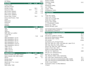 500mt Barley Hay 680kg 8x4x3 Bales