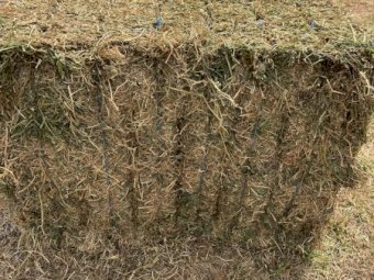 200mt Vetch Hay 650kg 8x4x3 Bales