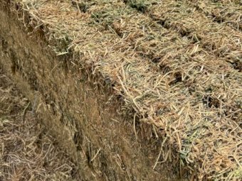 200mt Vetch Hay 650kg 8x4x3 Bales