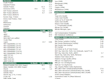 200mt Vetch Hay 650kg 8x4x3 Bales
