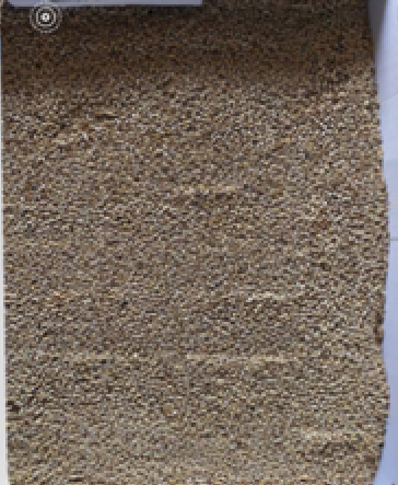 44MT Schooner Barley