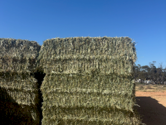500mt Oaten Hay 750-800kg 8x4x3 Bales