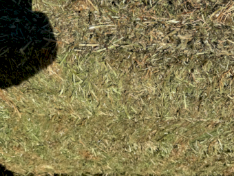 135mt Vetch Hay 700kg 8x4x3 Bales