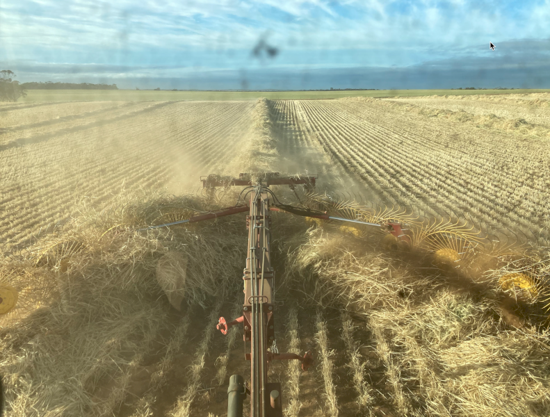 200mt Barley Hay 700kg 8x4x3 Bales