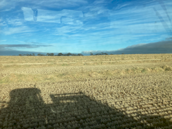 200mt Barley Hay 700kg 8x4x3 Bales