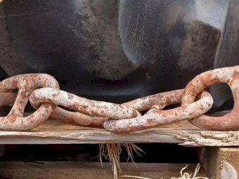 Approx 300' Studded Scrub Chain