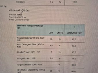 25MT Vetch Hay 8X4X3 Large Square Bales