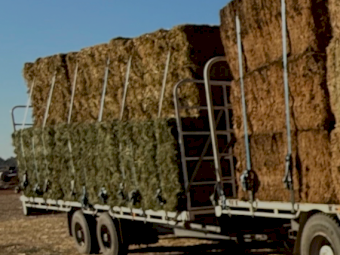 2008 Rayton Tandem Trailer