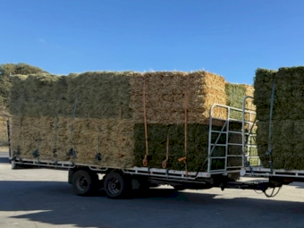 2008 Rayton Tandem Trailer