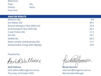 200m/t 2025 Vetch Hay