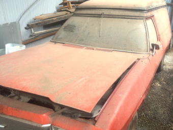 Holden Panel Vans x 2