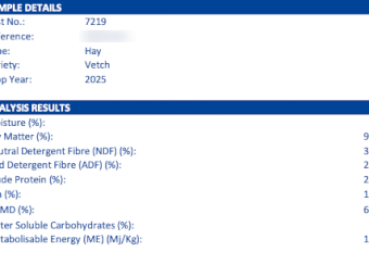 120mt Vetch Hay 650kg 8x4x3 Bales