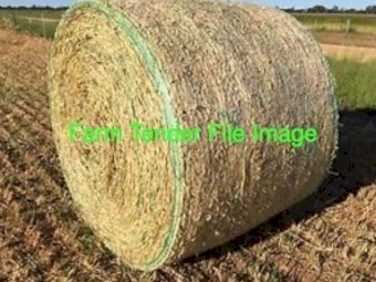 500 x Oaten Hay 5x4 Rounds