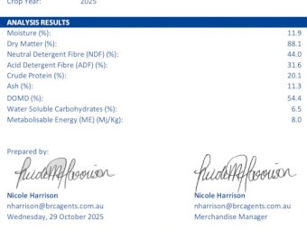 25' Season Vetch Hay