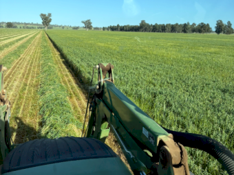 240 x Oaten Rye Hay 5x4 Rolls