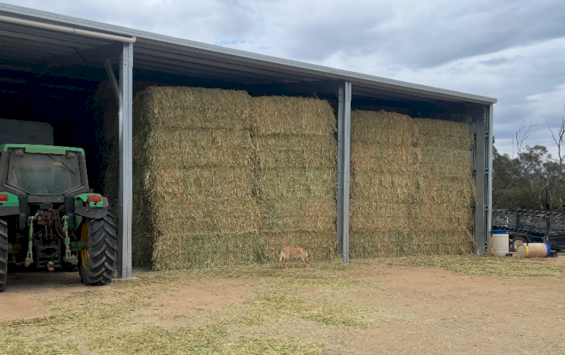200mt Wheaten Hay 680-700kg 8x4x3 Bales