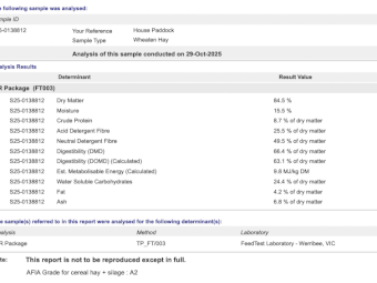 200mt Wheaten Hay 680-700kg 8x4x3 Bales