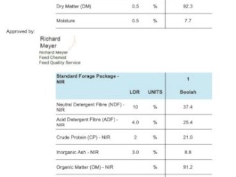 200mt Vetch Hay 8x4x3 Bales