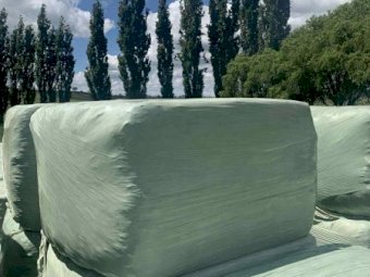 85 x Soybean Square Silage Bales