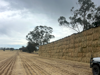 200mt Wheaten Hay 650kg 8x4x3 HD Bales