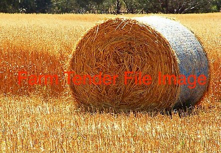 500 x Barley Rye Hay 5x4 Rolls