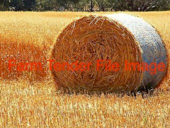 500 x Barley Rye Hay 5x4 Rolls