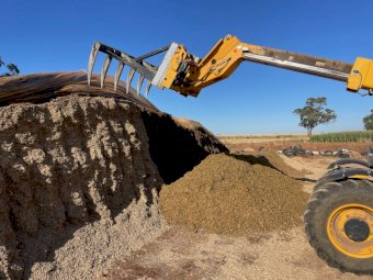 25/26 Pit Maize Silage