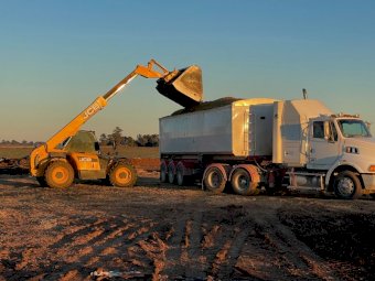 25/26 Pit Maize Silage