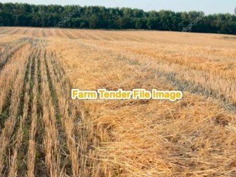 EOI 800mt Wheaten Straw Tailings 8x4x3 Bales
