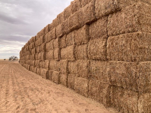 200MT Vetch Hay 8X4X3 Large Square Bales
