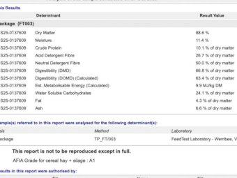 Shedded Wheaten Hay 8x4x3 Bales