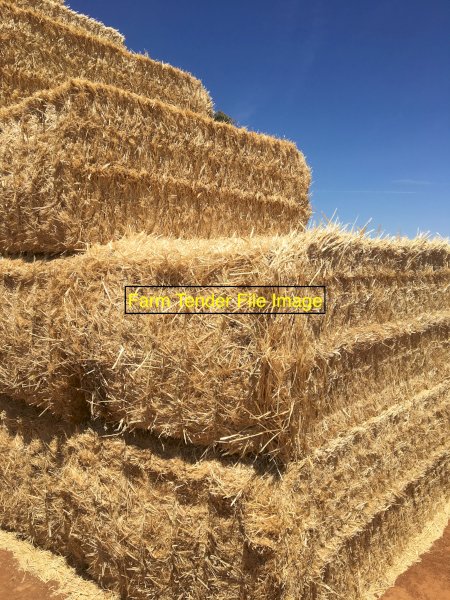 200 mt Wheaten Hay 25/26 season