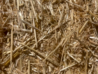 100mt Barley Straw 480-500kg 8x4x3 Bales