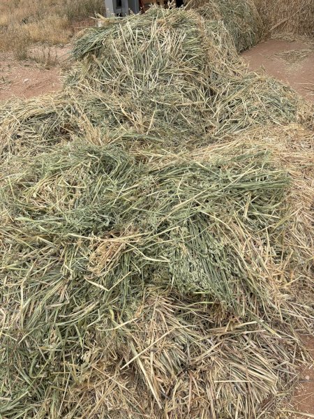 500mt Oaten Hay 670kg 8x4x3 Bales